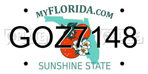 GOZ7148 Florida License Plate