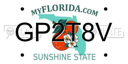 GP2T8V Florida License Plate