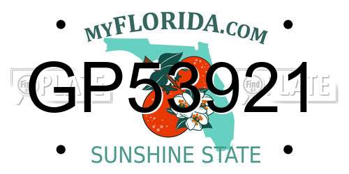 GP53921 Florida License Plate