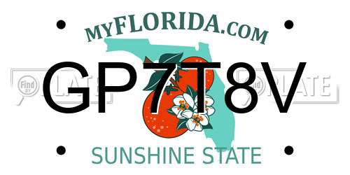 GP7T8V Florida License Plate