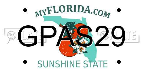 GPAS29 Florida License Plate