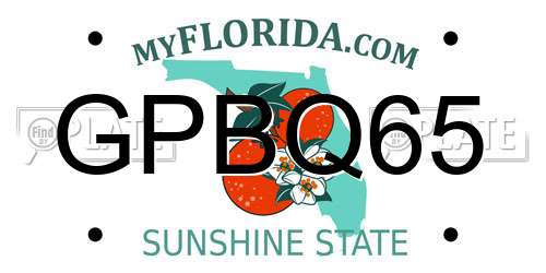 GPBQ65 Florida License Plate