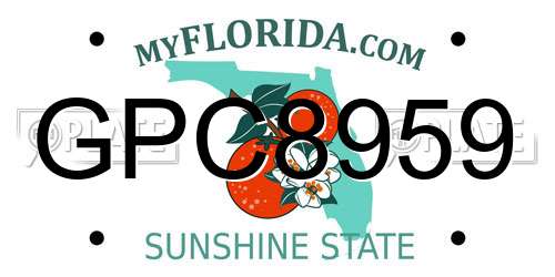 GPC8959 Florida License Plate