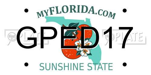 GPED17 Florida License Plate