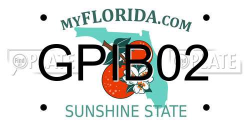 GPIB02 Florida License Plate