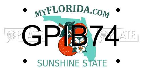 GPIB74 Florida License Plate