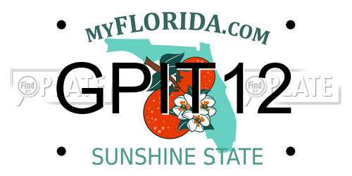 GPIT12 Florida License Plate