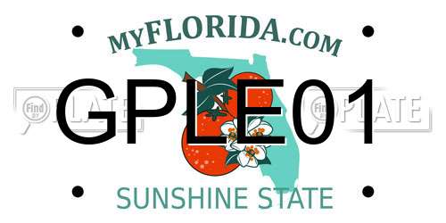 GPLE01 Florida License Plate