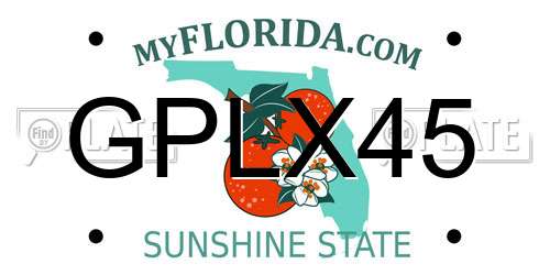 GPLX45 Florida License Plate