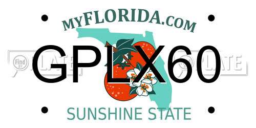 GPLX60 Florida License Plate