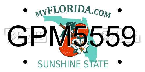 GPM5559 Florida License Plate