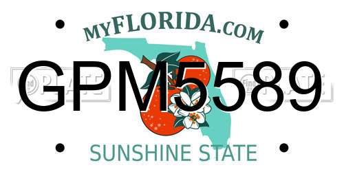 GPM5589 Florida License Plate