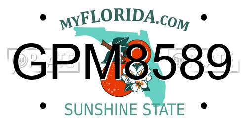 GPM8589 Florida License Plate