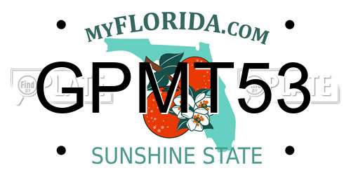GPMT53 Florida License Plate