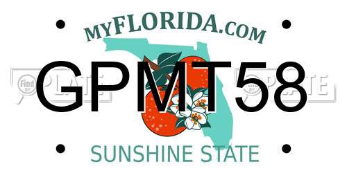 GPMT58 Florida License Plate