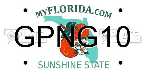 GPNG10 Florida License Plate