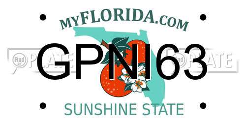 GPNI63 Florida License Plate