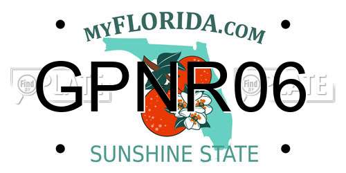 GPNR06 Florida License Plate