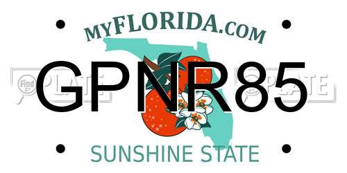 GPNR85 Florida License Plate