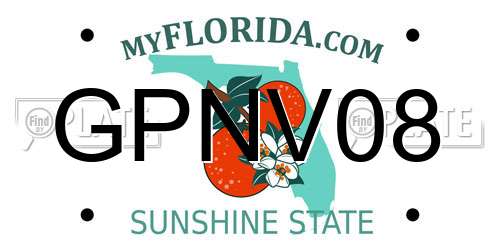 GPNV08 Florida License Plate