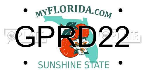 GPRD22 Florida License Plate