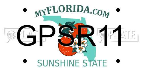 GPSR11 Florida License Plate