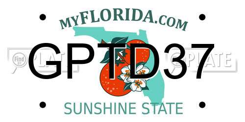 GPTD37 Florida License Plate