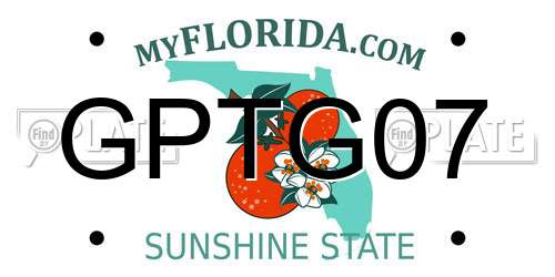 GPTG07 Florida License Plate