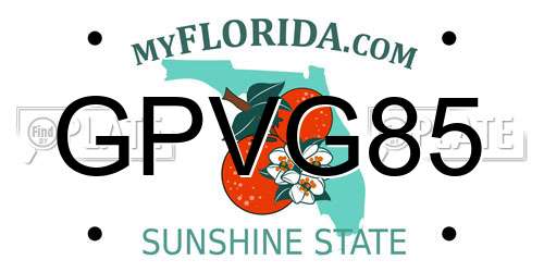 GPVG85 Florida License Plate