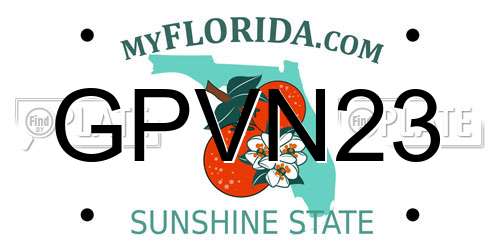 GPVN23 Florida License Plate