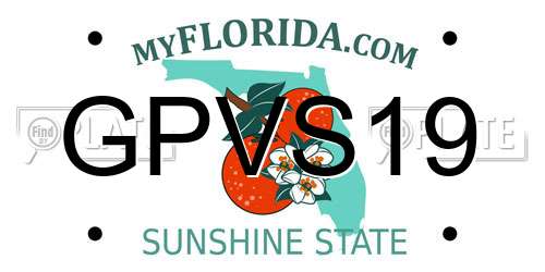 GPVS19 Florida License Plate