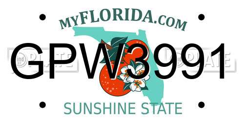 GPW3991 Florida License Plate