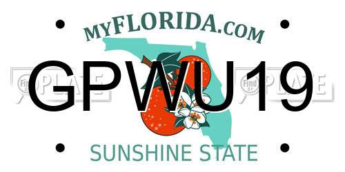 GPWU19 Florida License Plate