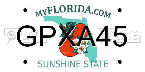 GPXA45 Florida License Plate