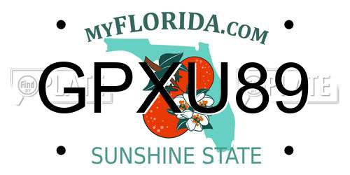 GPXU89 Florida License Plate