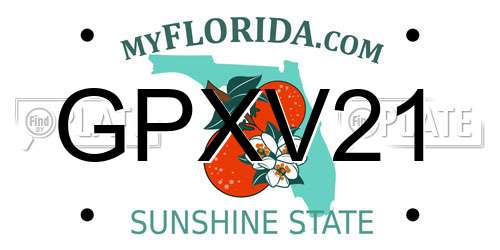 GPXV21 Florida License Plate