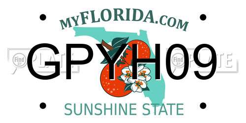GPYH09 Florida License Plate