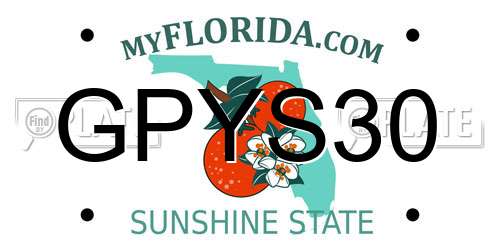 GPYS30 Florida License Plate