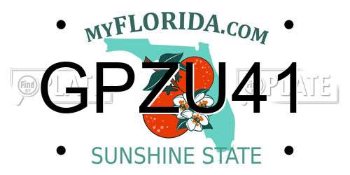 GPZU41 Florida License Plate