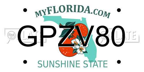 GPZV80 Florida License Plate