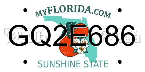GQ2E686 Florida License Plate