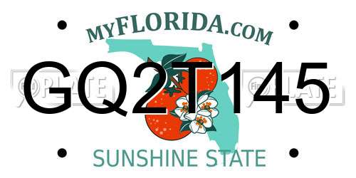 GQ2T145 Florida License Plate