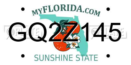 GQ2Z145 Florida License Plate