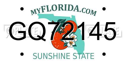 GQ72145 Florida License Plate
