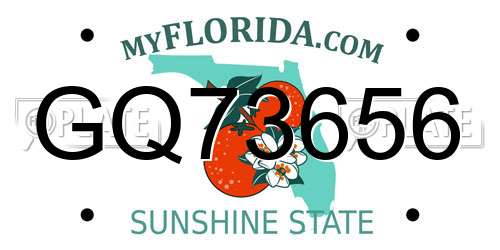 GQ73656 Florida License Plate