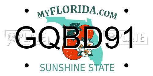 GQBD91 Florida License Plate