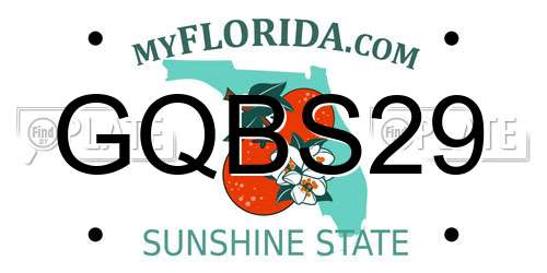 GQBS29 Florida License Plate