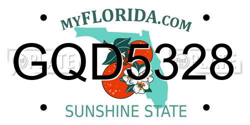 GQD5328 Florida License Plate