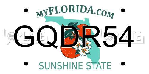GQDR54 Florida License Plate