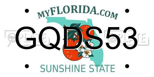 GQDS53 Florida License Plate